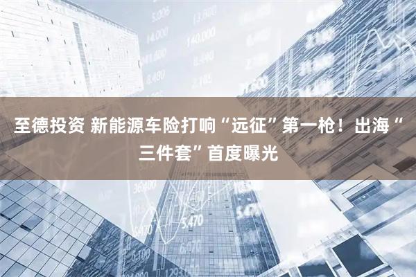 至德投资 新能源车险打响“远征”第一枪！出海“三件套”首度曝光
