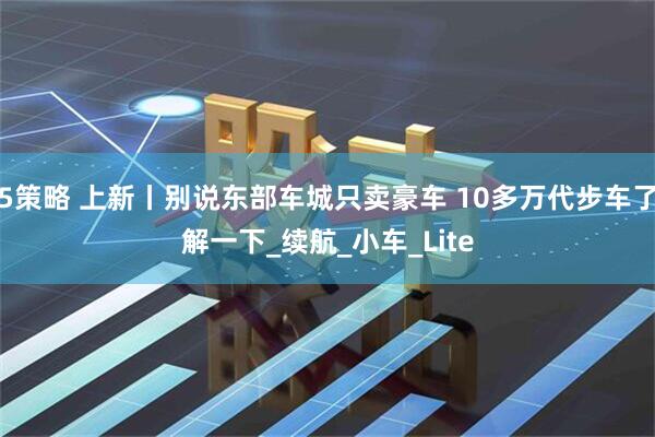 5策略 上新丨别说东部车城只卖豪车 10多万代步车了解一下_续航_小车_Lite