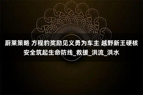 蔚莱策略 方程豹奖励见义勇为车主 越野新王硬核安全筑起生命防线_救援_洪流_洪水