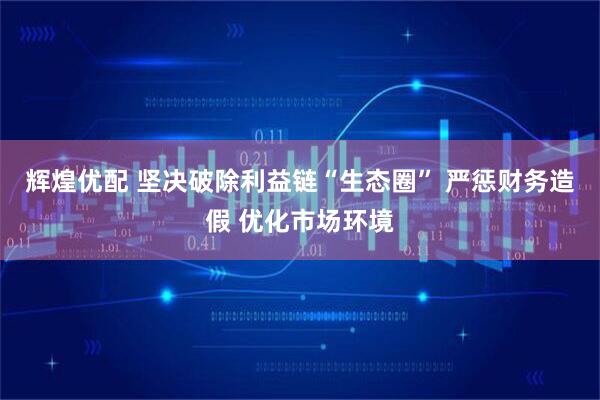 辉煌优配 坚决破除利益链“生态圈” 严惩财务造假 优化市场环境