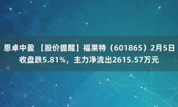恩卓中盈 【股价提醒】福莱特（601865）2月5日收盘跌5.81%，主力净流出2615.57万元
